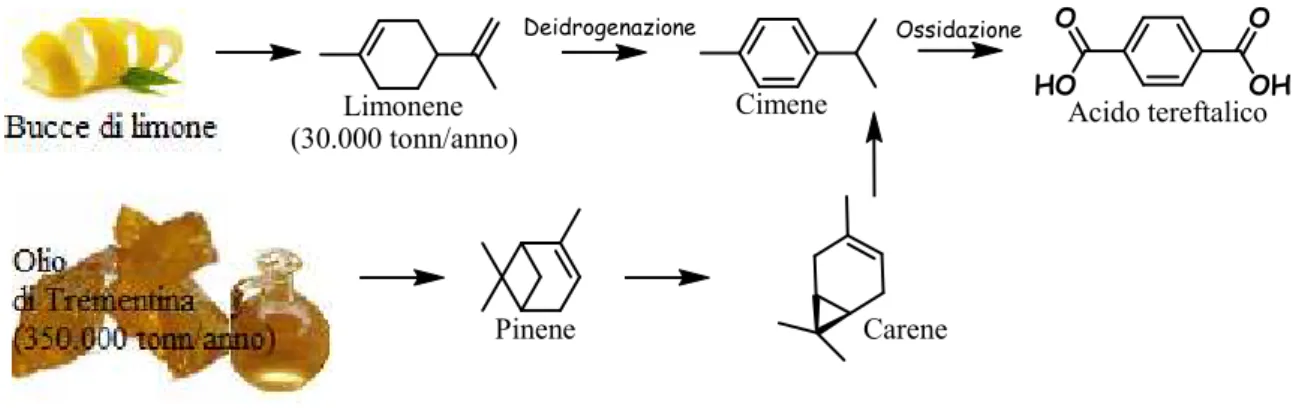 Figura 7: preparazione dell’acido tereftalico a partire da limonene e da pinene. 
