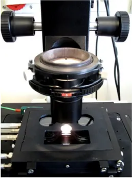 Figura 2.6: Incubatore della Oko-Lab integrato con il tavolino portaoggetti del microscopio Nikon Eclipse-Ti.
