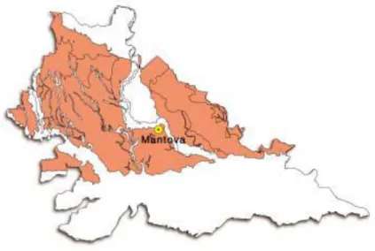 Fig. 3.4: rappresentazione cartografica livello fondamentale della provincia di Mantova 
