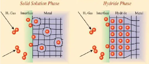 Figura 1.2: Diffusione dell’idrogeno attraverso il reticolo cristallino di un metallo [3]