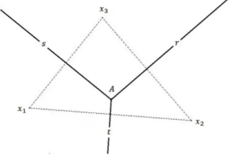 Figura 1.2: Celle di D-V in R 2