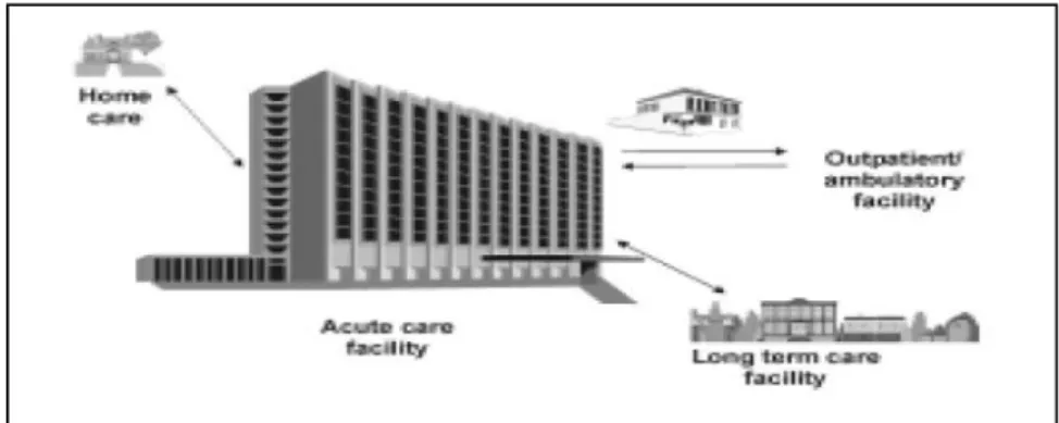 Fig 1.1- il paziente è al centro della riorganizzazione delle strutture 