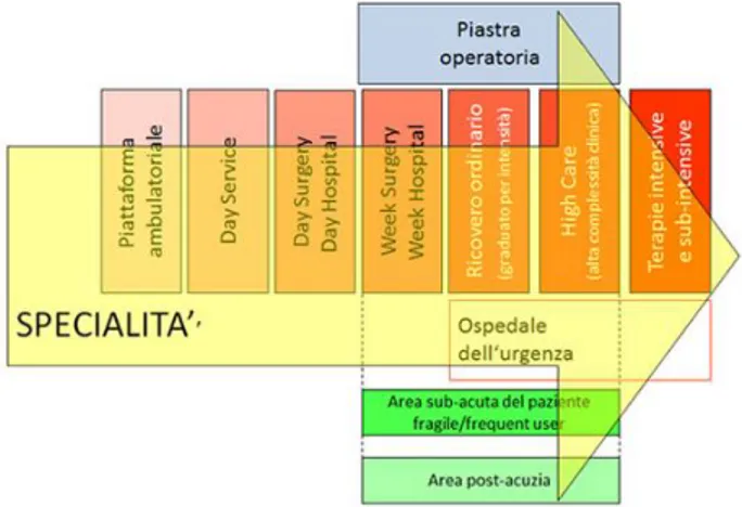 Fig 1.2- schema riassuntivo della riorganizzazione strutturale 