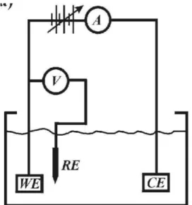 Figura  2  :  I.  Tiginyanu,  S.  Langa,  H.  Foell,  V.  Ursachi,    “Porous  III-V  Semiconductors”  ,capitolo  2.5.3.,   figura  2.14  (a);  http://www.porous-35.com