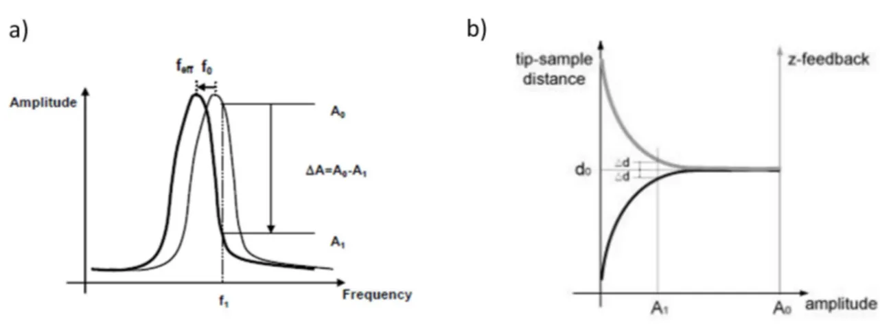 Figura 2.7: a) Shift della frequenza di risonanza, b) ampiezza vs Z-feedback. [8] I ∆A misurati alla frequenza f 1 sono correlati alle variazioni di separazione