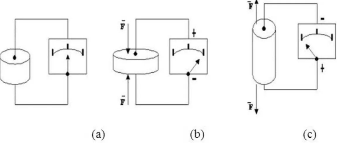 Figura 2.2: cristallo piezoelettrico (a) a riposo; (b) sottoposto ad una  compressione; (c) sottoposto ad una trazione.[3] 