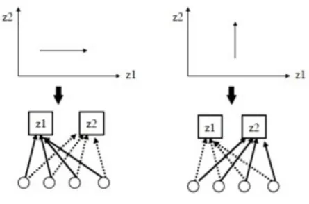 Fig.  8.  Effetto  della  selezione  direzionale  su  un  carattere  dell’architettura  genetica  di  un  fenotipo  con  2  caratteri
