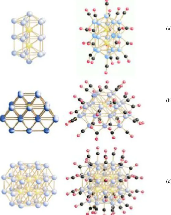 Figura 1.3. Le strutture ai raggi X dei cluster [Pt 19 (CO) 22 ] 4- (a), [Pt 24 (CO) 30 ] 2- (b), [Pt 38 (CO) 44 ] 2- (c) e dei  rispettivi cuori metallici.