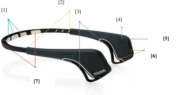 Figura 10: Componenti del dispositivo Muse [10] [1] 