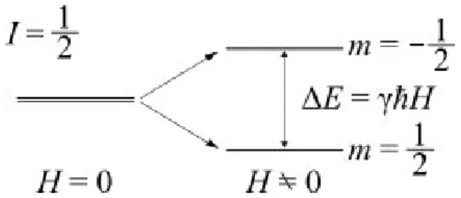 Figura 2.1: Schematizzazione dello splitting dei livelli di energia per un sistema costituito da protoni sottoposto ad un campo magnetico
