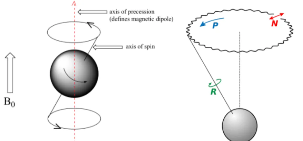 Figura 2.2: Precessione e nutazione di un nucleo atomico