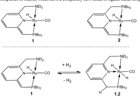 Figure 2. Ru(II) PNN 1 and PNP 2 complexes (top). Enamido 1 and imino 1.2 form (bottom)