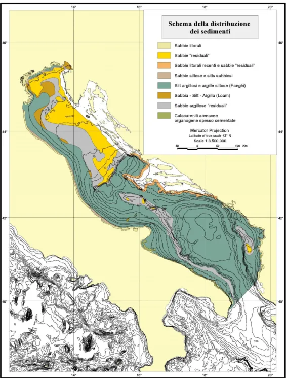 Fig. 17 – Distribuzione dei sedimenti 