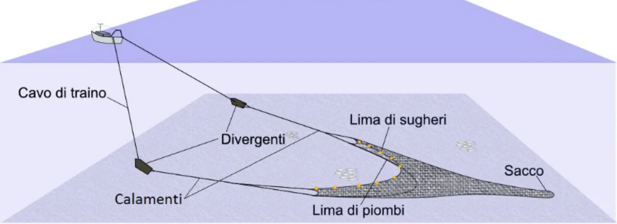 Fig. 18 – Schema di una rete a strascico (www.ilpescedimenticato.it)