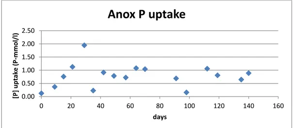 Figure 29. Anoxic phosphorus uptake for Accumulibacter 