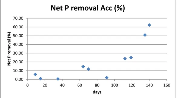 Figure 31. Net phosphorus removal for the Acc. bioreactor in the whole analyzed period 