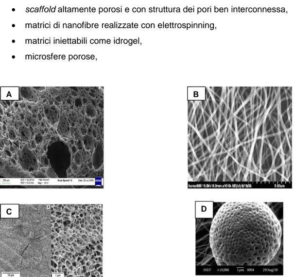 Figura 2.5: Esempi di scaffold: A)3D porous matrix, B)nanofiber mesh,   C)Hydrogel, D)Porous microsphere