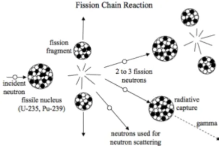 Figura 1.2: Produzione di neu- neu-troni mediante fissione nucleare.