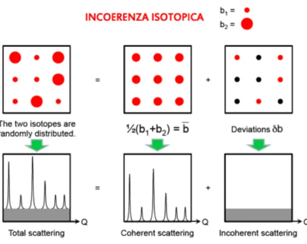 Figura 2.2: Un campione avente composizione isotopica mista produce un segnale di scattering dato da una parte coerente e da un background di fondo dovuto alle deviazioni della lunghezza di scattering dal valore medio