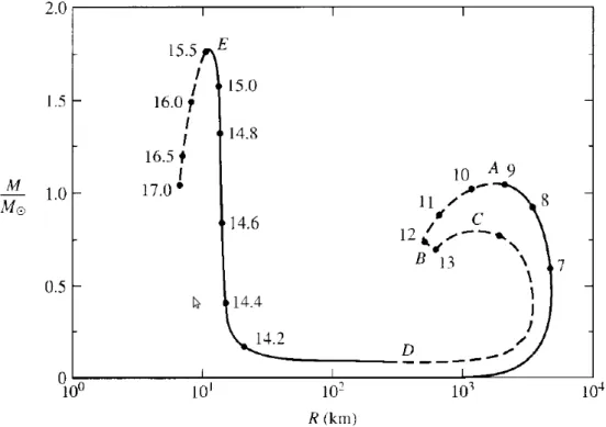Figura 6.1: Relazione fra massa e raggio negli stadi finali dell’evoluzione stellare. La curva descrive una famiglia di configurazioni in funzione della densit` a centrale ρ 0 