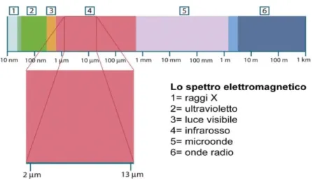 Fig. 1.2 Spettro elettromagnetico (particolare: spettro infrarosso). 