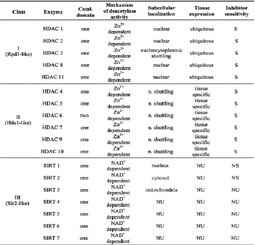 Tabella 2: Classificazione delle istone deacetilasi nei mammiferi (HDACs) [Mai 2005]. 