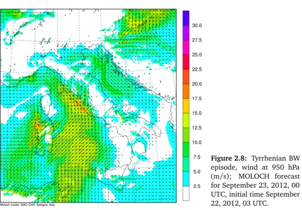 Figure 2.8: Tyrrhenian BW episode, wind at 950 hPa (m /s); MOLOCH forecast for September 23, 2012, 00 UTC, initial time September 22, 2012, 03 UTC.