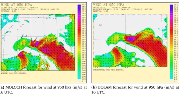 Figure 4.12: Comparison between MOLOCH and BOLAM forecasts for wind at 950 hPa.