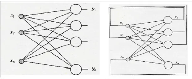 Figura 1.4 : rete etero-associativa a sinistra con due strati di neuroni. I neuroni Xi di  input  sono  collegati  ai  neuroni  Yi  di  output  mediante  connessioni  feed-forward