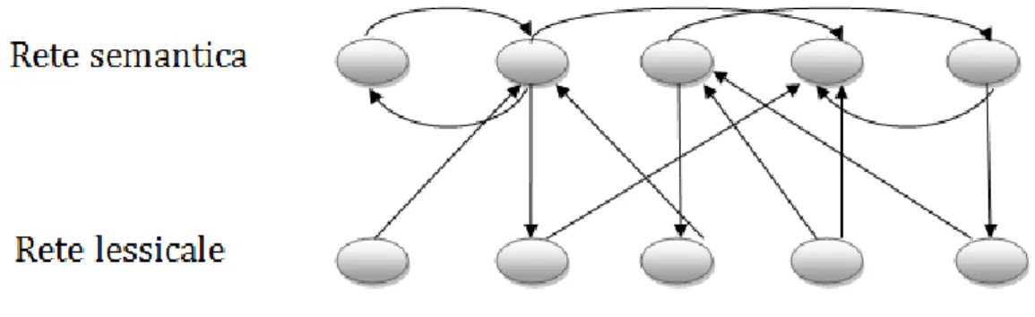 Figura 2: schema del modello semplificato unidimensionale. La rete semantica (primo  strato)  consiste  di  43  neuroni,  ogni  unità  semantica  è  connessa  alle  altre  dello  stesso  strato  attraverso  sinapsi  eccitatorie