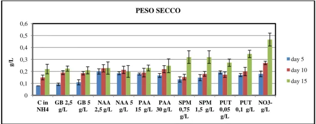 Fig. 14 Peso secco delle colture di Desmodesmus communis sottoposte ai diversi trattamenti con stimolanti biochimici