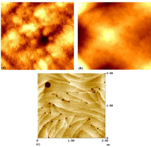 Figure 1.8: 5x5 µm 2 AFM scan of a GaN sample (a) with lot of hillocks, (b) with single hillock and several pits, and (c) 2x2 µm 2 AFM image of a GaN