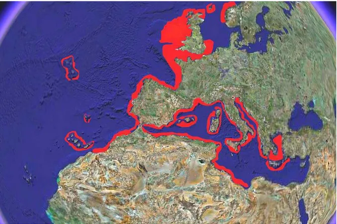 Figura 1. Distribuzione dell'aragosta rossa Palinurus elephas.
