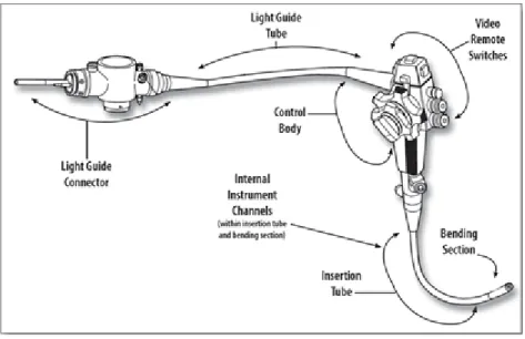Figura 1.3: struttura dell'endoscopio