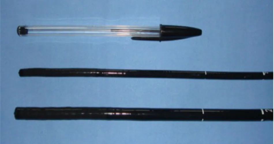 Figura 1.4: Dimensioni di un gastroscopio trans-nasale (al centro) e di un gastroscopio (in  basso) confrontati con una biro.