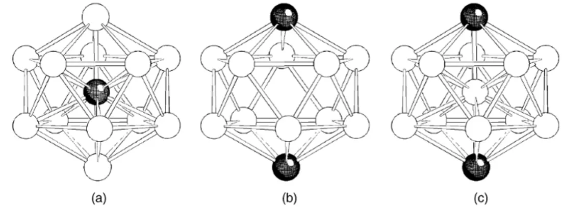 Fig. 2.6 Rappresentazione strutture icosaedriche. 