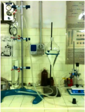 Fig. 4.1.4.3.b Cromatogramma prova catalitica di [Rh 12 Sn(CO) 27-x H y ][NEt 4 ] 4 .