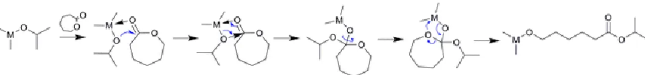 Figure 1.9 Mechanism of the initiation step for coordination–insertion ROP, adapted from Khanna  et al
