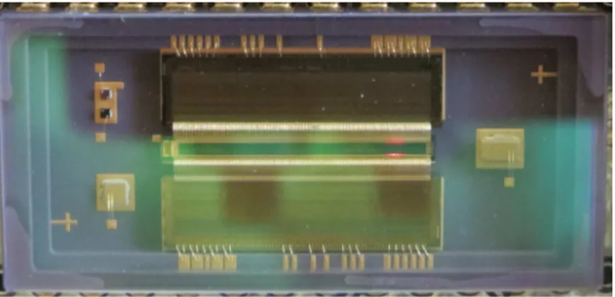 Figure 3.12. Photodiode array PDA-640 SFF InGaAs Photodetector Sensor by Princeton Lightwave Inc