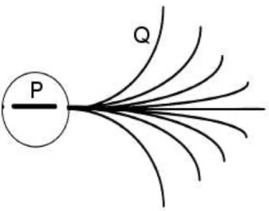 Figure 3.1: The stimulus in the central position P can be joined with other stimuli tangent to the lines in the figure, but cannot be joined with stimuli with different directions.