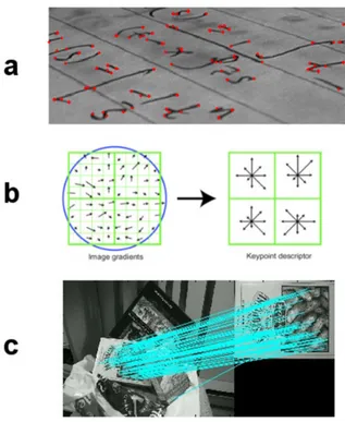 Figura 3.6: Esempi di algoritmi usati per la ricerca delle corrispondenze: keypoint detection (a), description (b) e matching (c).