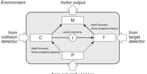 Figura 4.4: Illustrazione presa da [32]. I quattro livelli della rete neuronale: prossimità (P), collisione (C), target (T), sistema  moto-re (M)