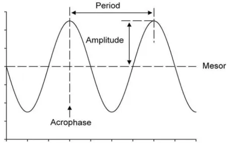 Figure 3: Diagram of an oscillatory process characterized by its 4 parameters. Acrophase: the time at which the peak  of a rhythm occurs; Amplitude: the difference between the peak  and the mean value of a wave; Mesor: an estimate of  central  tendency  of