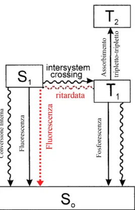 Figura 1.6: Riassunto dei meccanismi che generano luminescenza negli scintillatori organici.