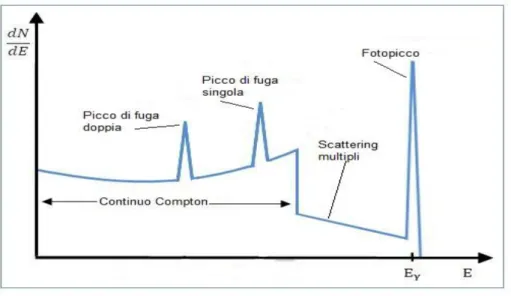 Figura 2.9 Spettro gamma di una sorgente monocromatica 