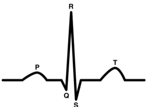 Figura 1.3: Singolo ciclo cardiaco formato dalle diverse onde