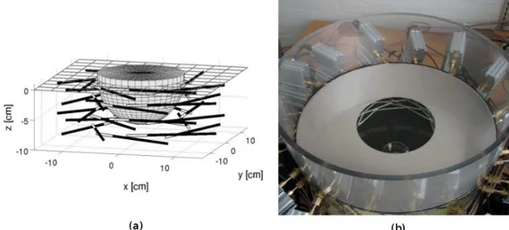 Figura 19. (a) schema della disposizione delle antenne, (b) foto del setup delle  antenne usate nel sistema di imaging