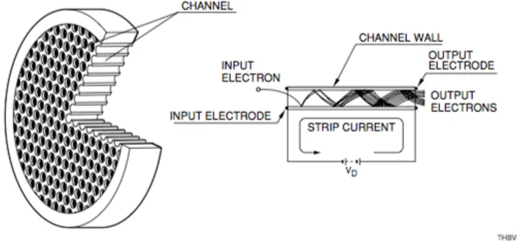 Figura 1.2: Struttura di un Micro Channel Plate e schema di funzionamento di un singolo canale.