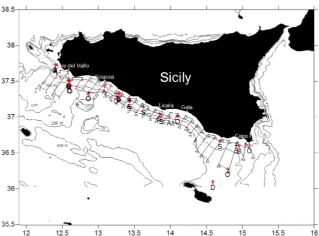 Figura 7. Area di studio. In rosso sono visualizzate le catture monospecifiche  e i transetti costa-largo effettuati durante  il survey ANCHEVA2009