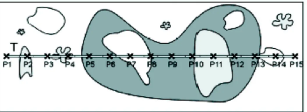 Fig. 11 - Schema point intercept transect 